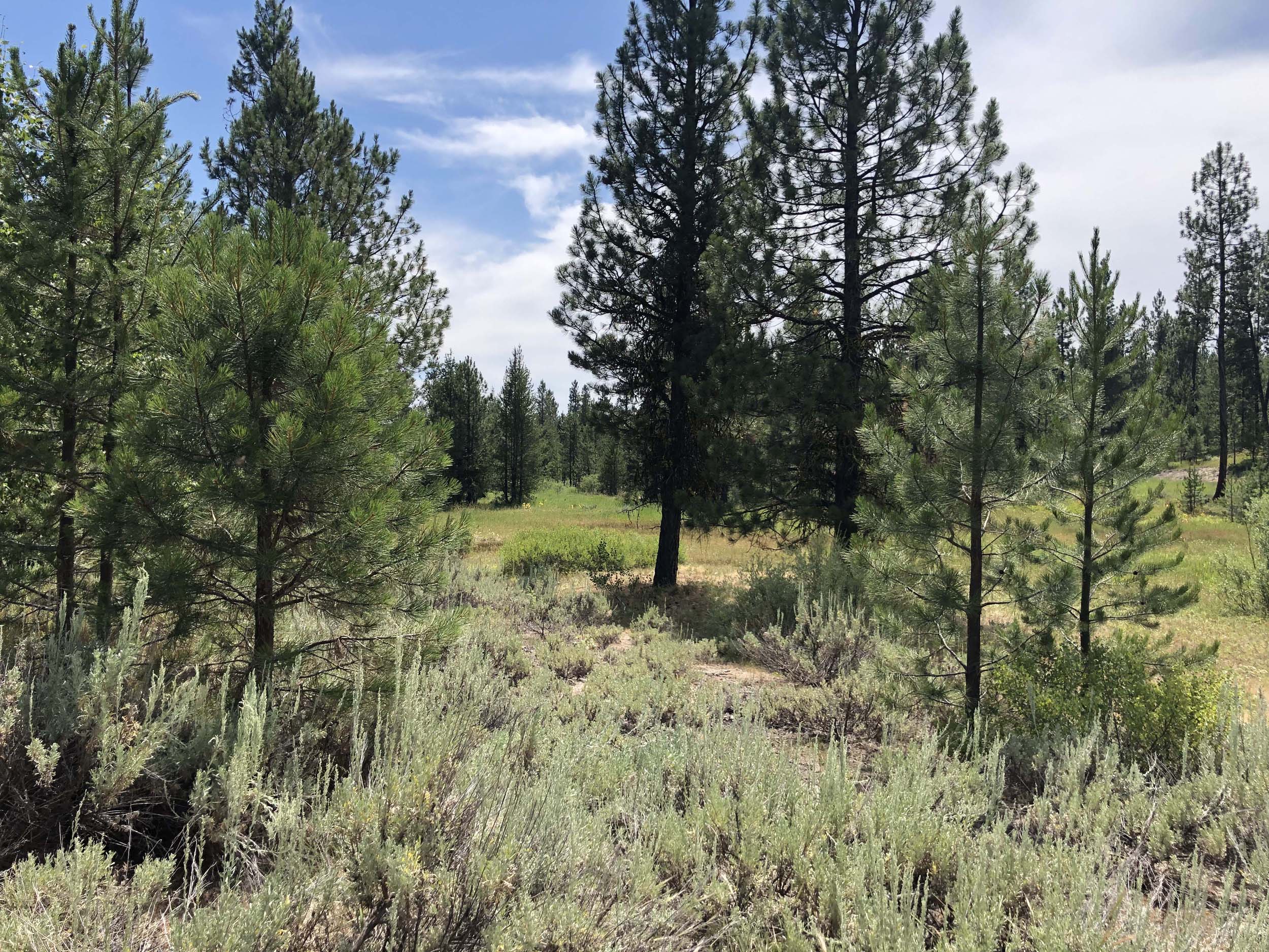 Cascade Lake Realty Whispering Pines